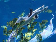 -太平洋海底世界