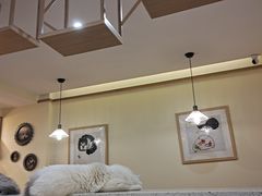 卡座-滚猫咖啡·猫咖·猫友好撸猫(未来城店)