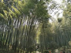 -石塘人家
