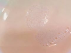 -南城香(欧陆经典万兴苑店)