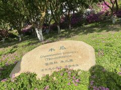 -玄武湖景区-情侣园游乐场