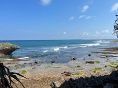 -Rock Bar Bali(Bali)