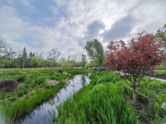 -上海植物园-4号门售票处