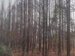 -南湖湿地公园