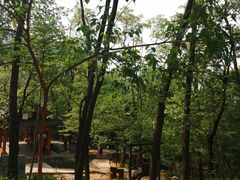 -封龙山风景区