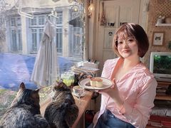 -海边的猫和咖啡馆