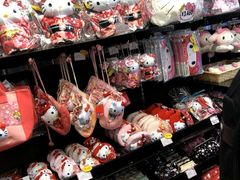 -有栖山 清光院 清水寺