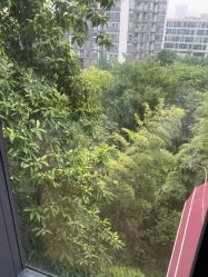 -金芙美月子中心(财富别墅店)