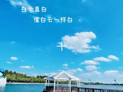 -迪士尼小镇