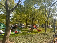-上海山野camping·户外天幕烧烤·团建拓展营地