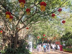 -海南热带野生动植物园