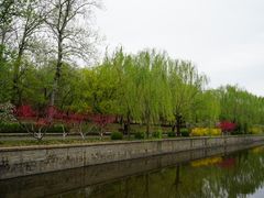 -元大都城垣遗址公园