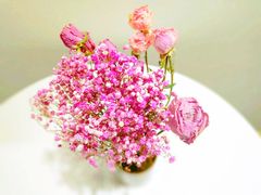 -执茶识麦(万达华府店)