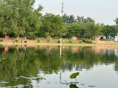 -太阳宫公园