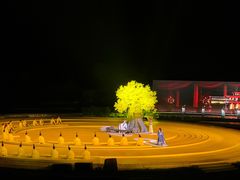 -鼎盛王朝康熙大典实景演出