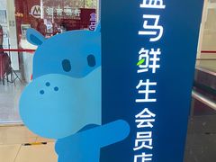 -盒马鲜生(大成店)