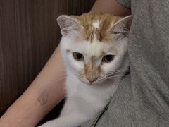 -Again Coffee Roaster(香蜜湖店)