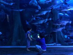 -成都浩海立方海洋公园