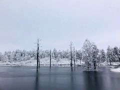 -瓦屋山景区