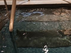 -汤里来温泉