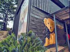 -济州岛泰迪熊博物馆