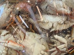 -仙螺岛海鲜自助餐厅(总店)