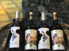 -文成城堡