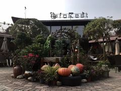 -森居forest休闲咖啡聚集地