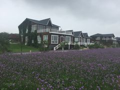 -渔岛海洋度假区