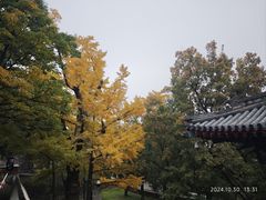 -小吊梨汤·北京菜(香山店)