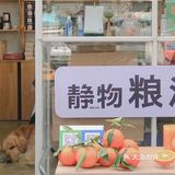 大理集市｜收获集市：小而美的宝藏集市