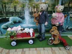 -济州岛泰迪熊博物馆