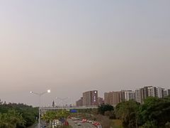 -宝安西湾红树林湿地公园