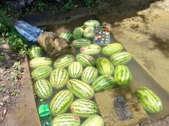 -华蓥山天意谷景区