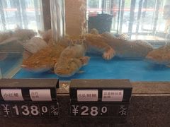-骏莱海鲜鱼港(五角场店)
