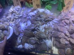 -聚盛源蒸汽海鲜火锅烤肉自助(巨川金海岸购物广场店)