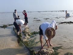 -北海金海湾红树林生态旅游区