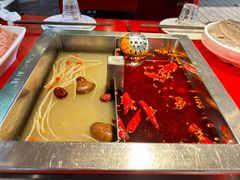 -二荆条·蜀鲜汇城市森林火锅