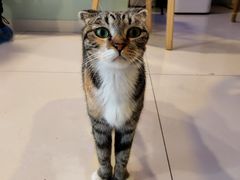 -平行世界·猫咖(首经贸店)