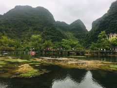 -靖西鹅泉风景区