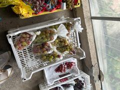 -马陆小张葡萄园农家乐