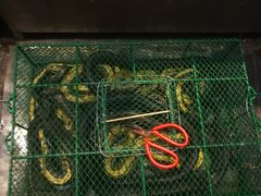 -老梅园大虾城(河西店)