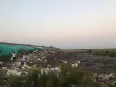 -南汇嘴观海公园