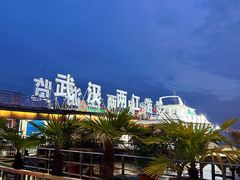 -武汉两江游览·夜游长江(汉口粤汉码头)
