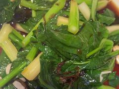 -新白鹿餐厅(百联中环店)