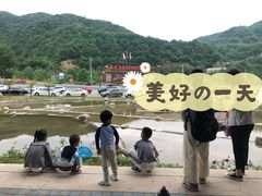 -青峰峡国家森林公园