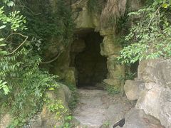 -上海吴淞炮台湾国家湿地公园