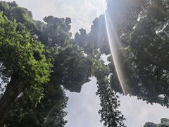 -凤栖山