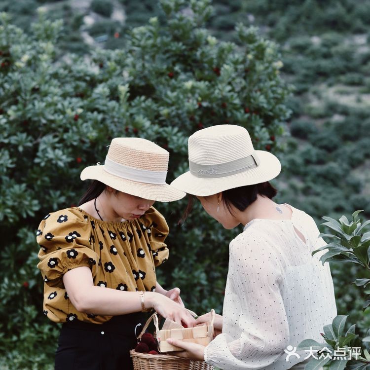 江浙沪周边游 | 又到杨梅季仙居杨梅熟了