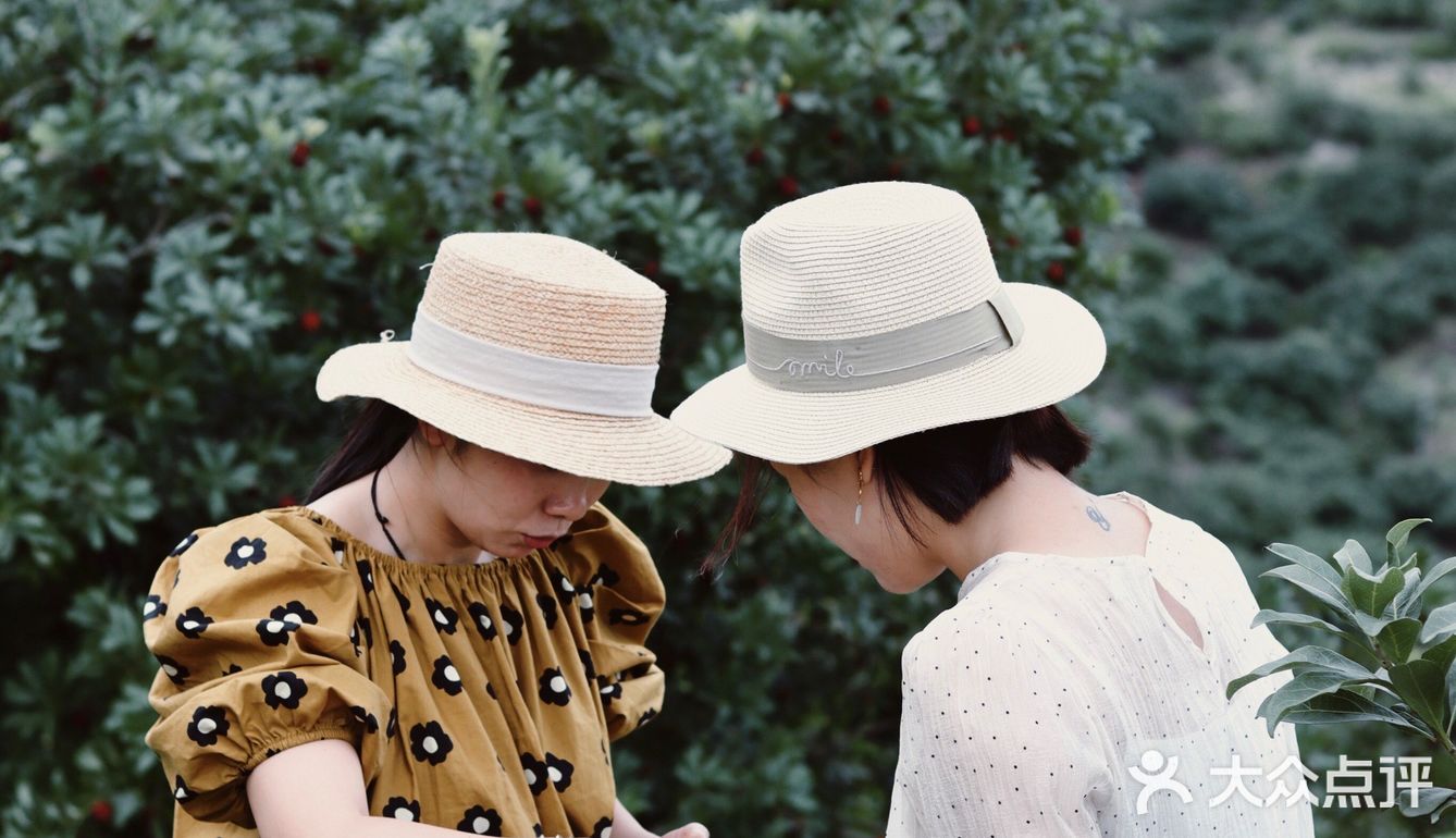 江浙沪周边游 | 又到杨梅季仙居杨梅熟了